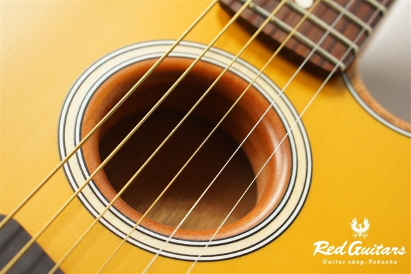 Acoustasonic Player Telecaster - Butterscotch Blonde